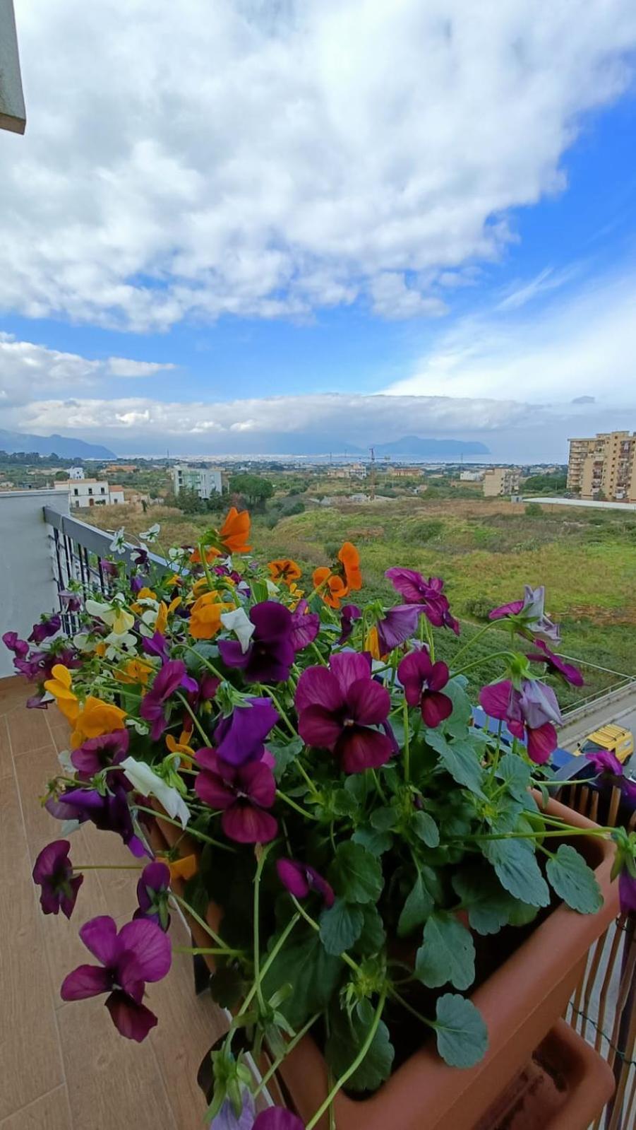 B&B Margherita Багерия Экстерьер фото